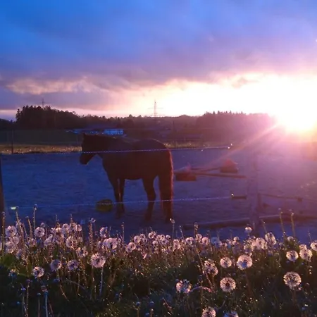 Tiny Wandelraum Ggmbh Semesterbostad