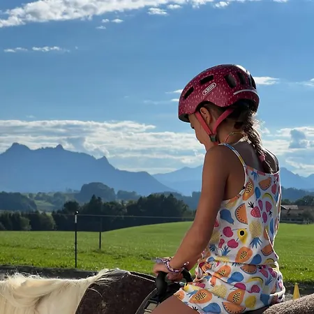 Tiny Wandelraum Ggmbh Semesterbostad Frasdorf