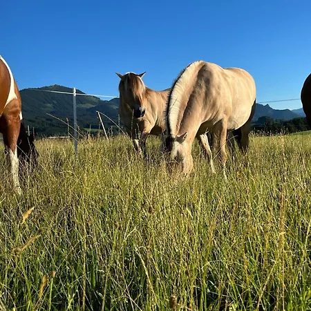 Tiny Wandelraum Ggmbh * Frasdorf