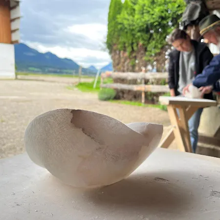 Tiny Wandelraum Ggmbh *