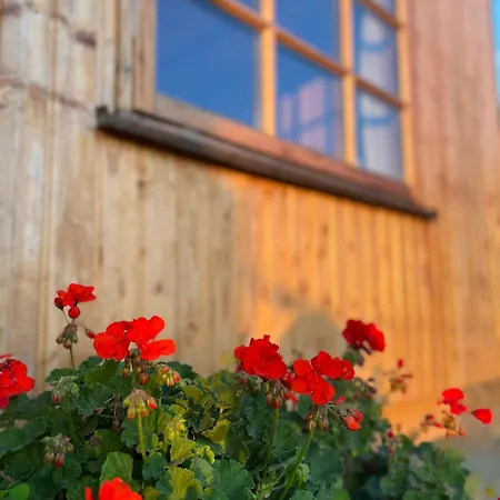 Tiny Wandelraum Ggmbh Feriehus
