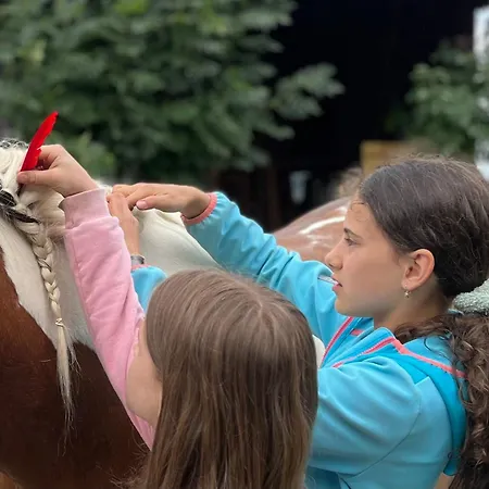 Tiny Wandelraum Ggmbh Tatil Evi