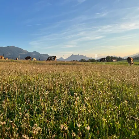 Tiny Wandelraum Ggmbh Frasdorf