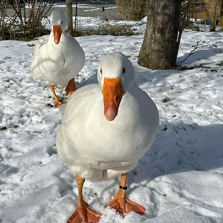 Tiny Wandelraum Ggmbh * Frasdorf